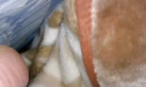 Bionda con vecchie baldracche grandi tette toccare i vicini.
